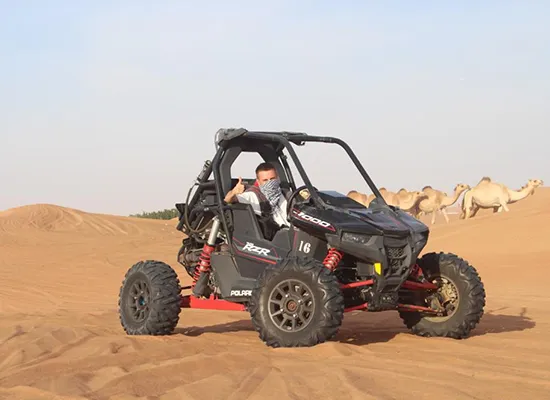 1 Seater Dune Buggy