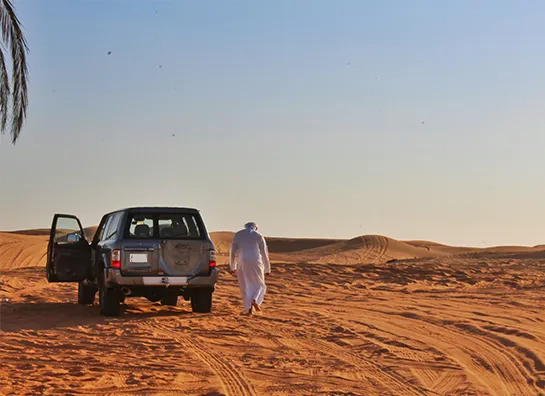 Evening Desert Safari